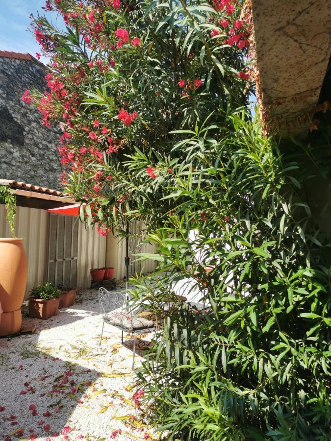 Les Studios De Marie Avignon Ngoại thất bức ảnh